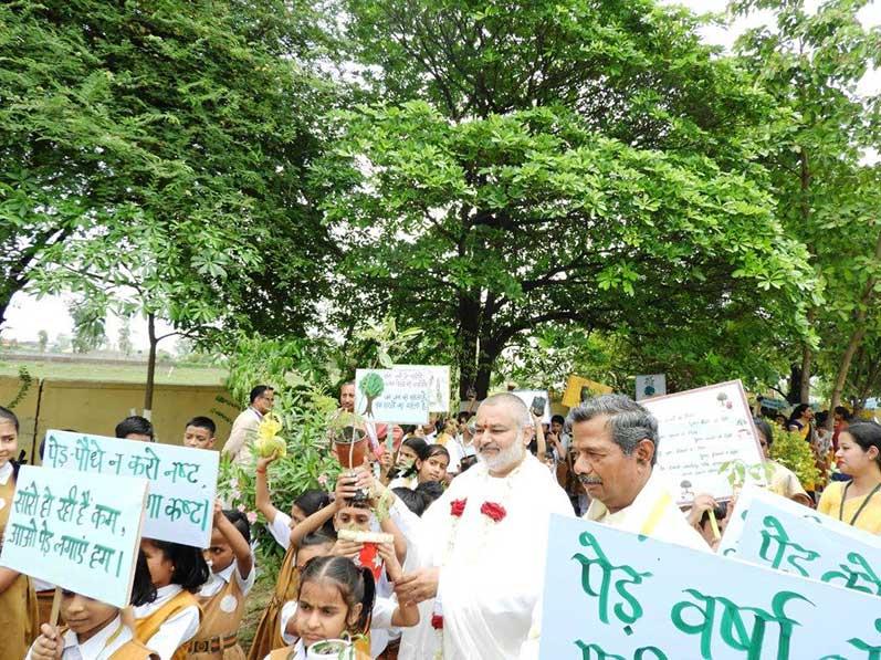 Plantation at MVM Ratanpur campus.