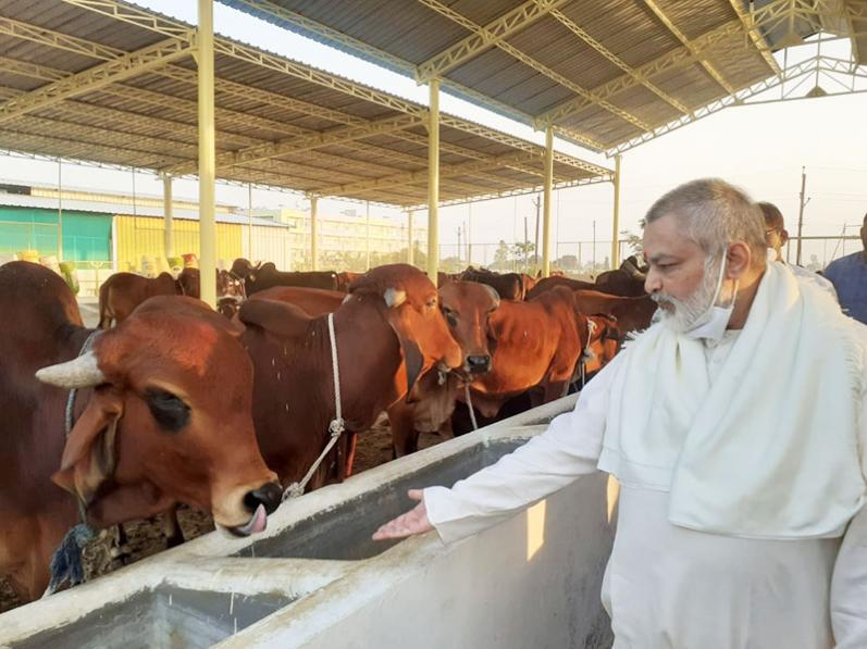 Girish ji Visited Maharishi Gaushala