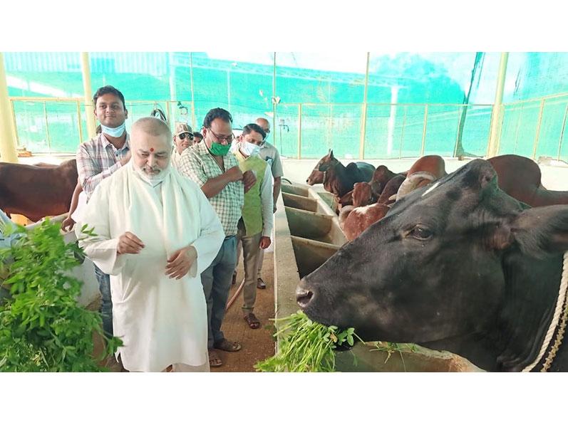Visit Maharishi Gaushala