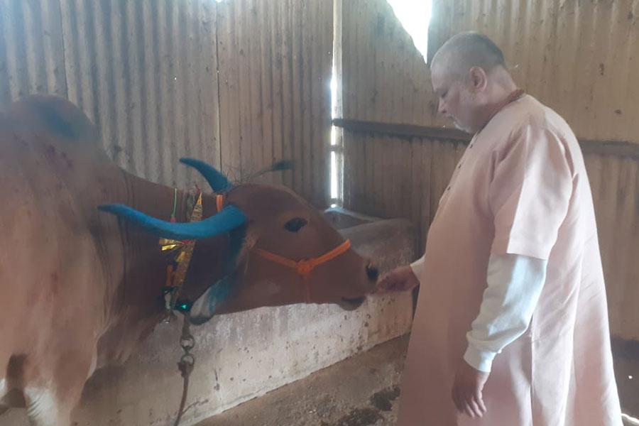 गौवर्धन के पावन दिवस पर महर्षि गौशाला में सब गौमाताओं का पूजन हुआ और उन्हें सजाया गया। ब्रह्मचारी गिरीश जी ने गौमाताओं को पूड़ी और बालूशाही का भोग लगाया।